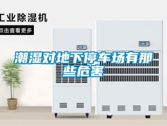 企業(yè)新聞潮濕對(duì)地下停車(chē)場(chǎng)有那些危害