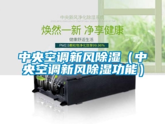 企業(yè)新聞中央空調(diào)新風(fēng)除濕（中央空調(diào)新風(fēng)除濕功能）
