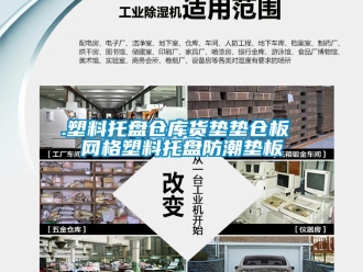 企業(yè)新聞.塑料托盤倉庫貨墊墊倉板 網(wǎng)格塑料托盤防潮墊板