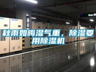 行業(yè)新聞秋雨如晦濕氣重，除濕要用除濕機(jī)