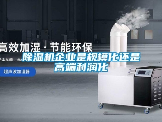 常見問題除濕機(jī)企業(yè)是規(guī)模化還是高端利潤(rùn)化