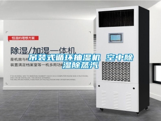 企業(yè)新聞吊裝式循環(huán)抽濕機 空中除濕除蒸汽