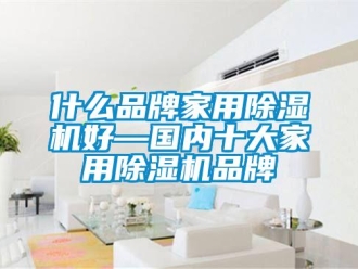 企業(yè)新聞什么品牌家用除濕機好—國內(nèi)十大家用除濕機品牌