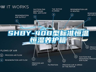 常見問題SHBY-40B型標準恒溫恒濕養(yǎng)護箱