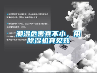 企業(yè)新聞潮濕危害真不小，用除濕機真見效