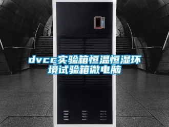 常見問(wèn)題dvcc實(shí)驗(yàn)箱恒溫恒濕環(huán)境試驗(yàn)箱微電腦