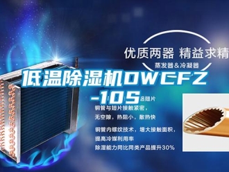 行業(yè)新聞低溫除濕機DWCFZ-10S