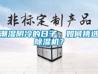 常見(jiàn)問(wèn)題潮濕陰冷的日子，如何挑選除濕機(jī)？
