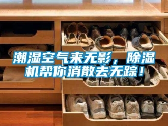 企業(yè)新聞潮濕空氣來無影，除濕機(jī)幫你消散去無蹤！