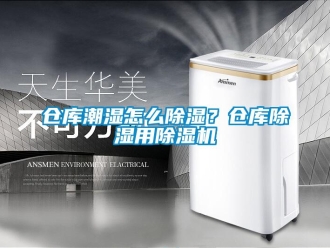 企業(yè)新聞倉(cāng)庫(kù)潮濕怎么除濕？倉(cāng)庫(kù)除濕用除濕機(jī)