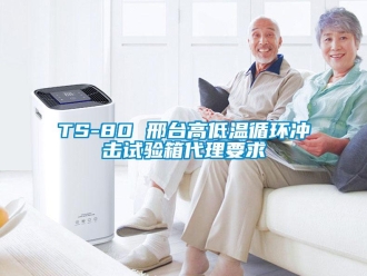 常見問題TS-80 邢臺(tái)高低溫循環(huán)沖擊試驗(yàn)箱代理要求