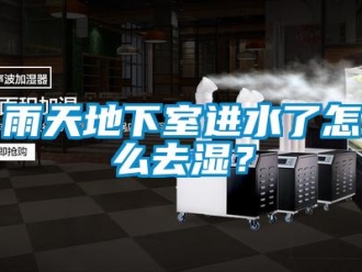 常見(jiàn)問(wèn)題雨天地下室進(jìn)水了怎么去濕？