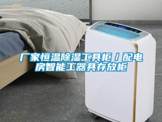 知識百科廠家恒溫除濕工具柜／配電房智能工器具存放柜