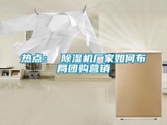 常見(jiàn)問(wèn)題熱點(diǎn)： 除濕機(jī)廠家如何布局團(tuán)購(gòu)營(yíng)銷(xiāo)