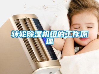 知識百科轉(zhuǎn)輪除濕機(jī)組的工作原理