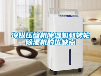 常見問題冷媒壓縮機除濕機和轉(zhuǎn)輪除濕機的優(yōu)缺點