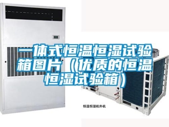 知識百科一體式恒溫恒濕試驗箱圖片（優(yōu)質(zhì)的恒溫恒濕試驗箱）