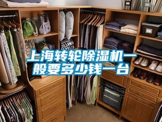 常見問(wèn)題上海轉(zhuǎn)輪除濕機(jī)一般要多少錢一臺(tái)