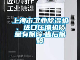 常見問題上海市工業(yè)除濕機(jī)、進(jìn)口壓縮機(jī)質(zhì)量有保障.售后保障