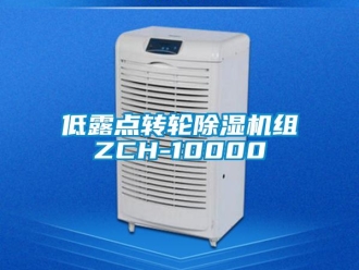 常見(jiàn)問(wèn)題低露點(diǎn)轉(zhuǎn)輪除濕機(jī)組ZCH-10000