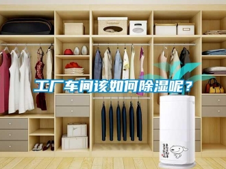 常見問(wèn)題工廠車間該如何除濕呢？