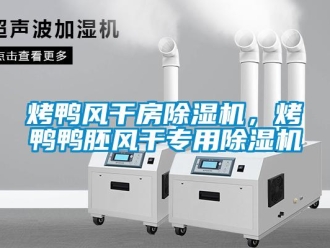 行業(yè)新聞烤鴨風(fēng)干房除濕機，烤鴨鴨胚風(fēng)干專用除濕機