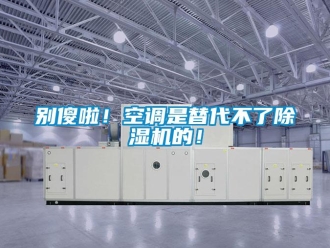 企業(yè)新聞別傻啦！空調(diào)是替代不了除濕機(jī)的！