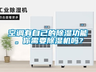 常見問題空調(diào)有自己的除濕功能。你需要除濕機(jī)嗎？