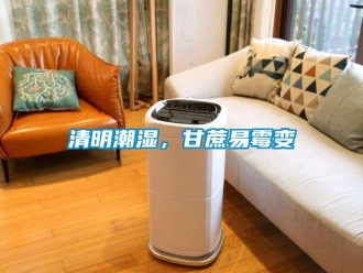 行業(yè)新聞清明潮濕，甘蔗易霉變