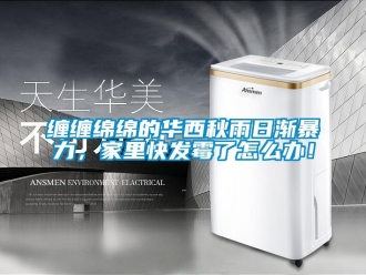 常見問題纏纏綿綿的華西秋雨日漸暴力，家里快發(fā)霉了怎么辦！