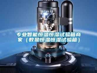知識(shí)百科專業(yè)智能恒溫恒濕試驗(yàn)箱商家（數(shù)顯恒溫恒濕試驗(yàn)箱）