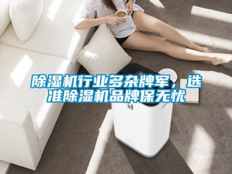 企業(yè)新聞除濕機(jī)行業(yè)多雜牌軍，選準(zhǔn)除濕機(jī)品牌保無(wú)憂