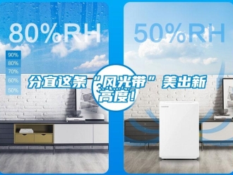 企業(yè)新聞分宜這條“風(fēng)光帶”美出新高度！