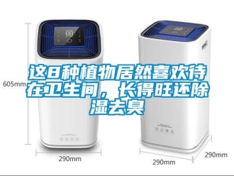 知識(shí)百科這8種植物居然喜歡待在衛(wèi)生間，長得旺還除濕去臭