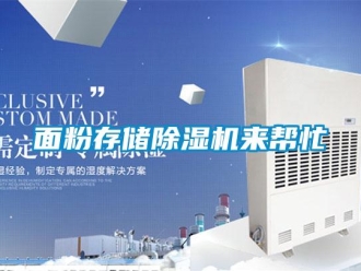 行業(yè)新聞面粉存儲(chǔ)除濕機(jī)來(lái)幫忙