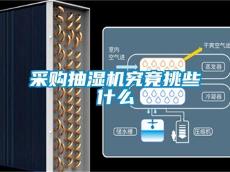 企業(yè)新聞采購抽濕機(jī)究竟挑些什么
