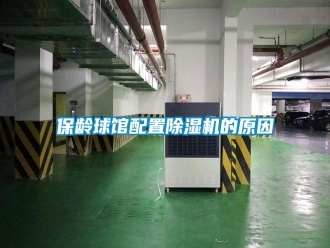 常見問題保齡球館配置除濕機(jī)的原因