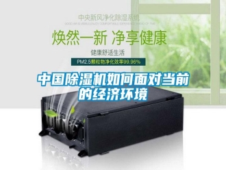 常見問題中國除濕機如何面對當前的經(jīng)濟環(huán)境