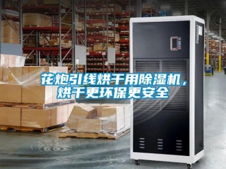 行業(yè)新聞花炮引線烘干用除濕機(jī)，烘干更環(huán)保更安全