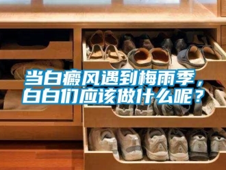 企業(yè)新聞當(dāng)白癜風(fēng)遇到梅雨季，白白們應(yīng)該做什么呢？