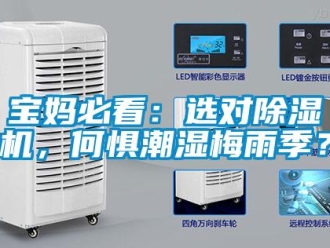 常見問題寶媽必看：選對除濕機，何懼潮濕梅雨季？