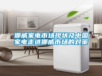 行業(yè)新聞挪威家電市場現狀及中國家電走進挪威市場的對策