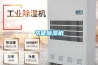 節(jié)能除濕機(jī)