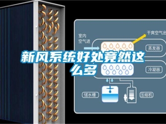 知識(shí)百科新風(fēng)系統(tǒng)好處竟然這么多