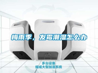 常見問題梅雨季，發(fā)霉潮濕怎么辦