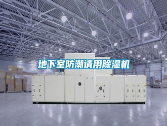 企業(yè)新聞地下室防潮請用除濕機
