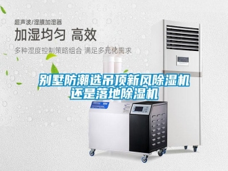 常見問題別墅防潮選吊頂新風除濕機還是落地除濕機