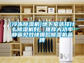 企業(yè)新聞[冷凍除濕機(jī)]地下室選擇什么除濕機(jī)好，推薦大功率靜音見效快爆款除濕機(jī)品牌