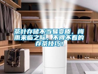 企業(yè)新聞茶葉存儲(chǔ)不當(dāng)易變質(zhì)，梅雨來(lái)臨之際，不得不看的存茶技巧！