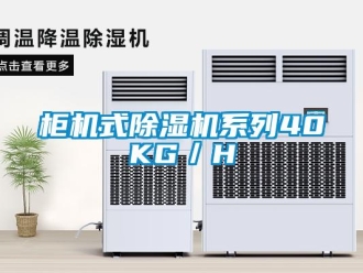 行業(yè)新聞柜機式除濕機系列40KG／H